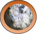 1592911100126044.png 3.png